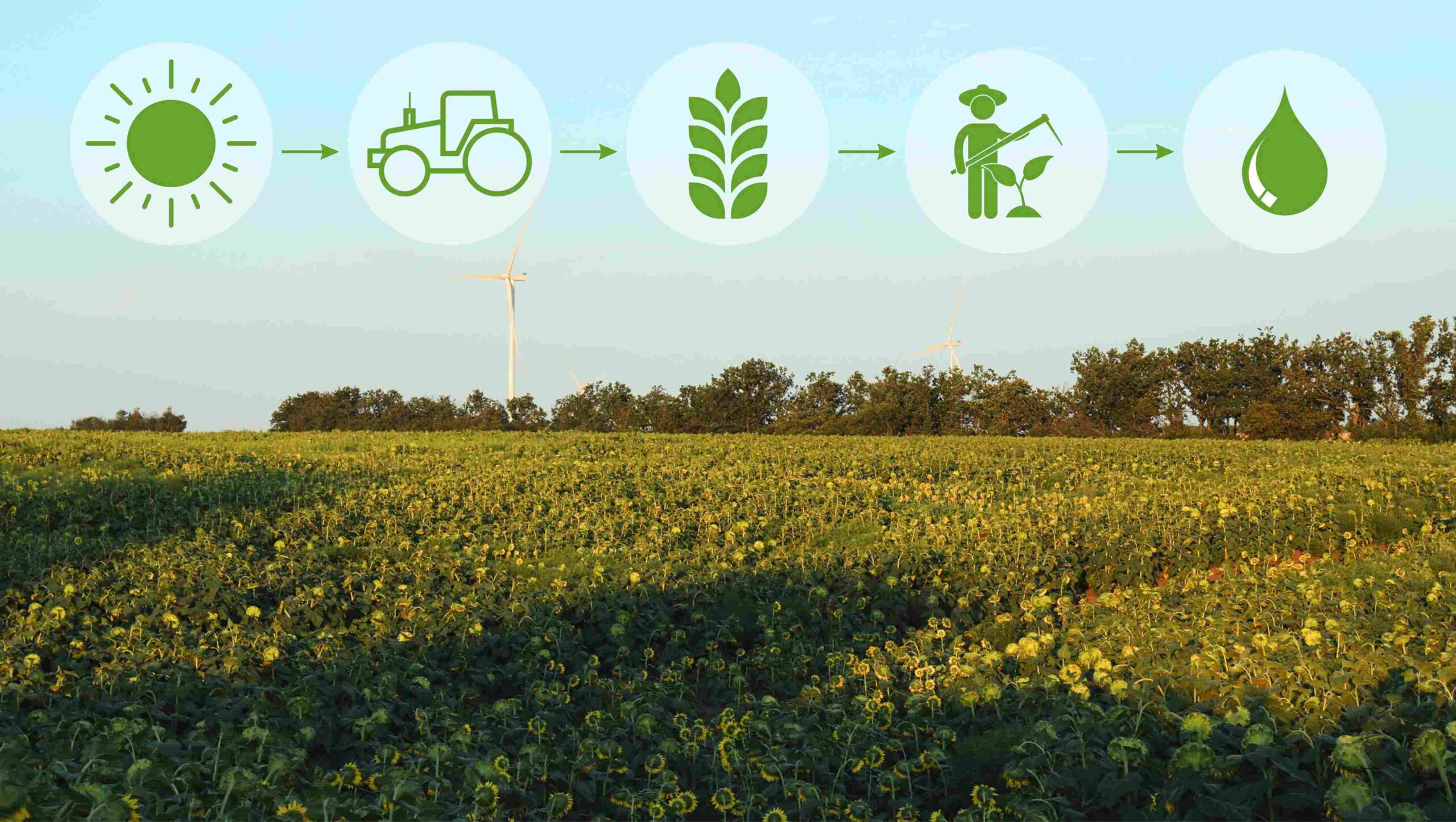image-with-field-windmill-agricultural-concept_11zon image-with-field-windmill-agricultural-concept_11zon